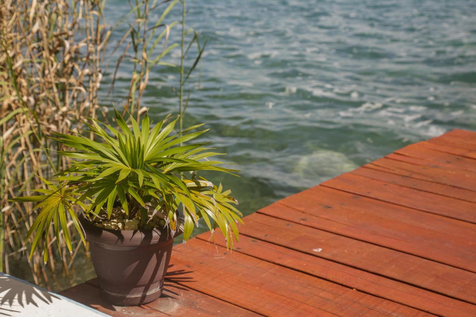 Seven Blue House Village & Lodge Bacalar Exterior photo